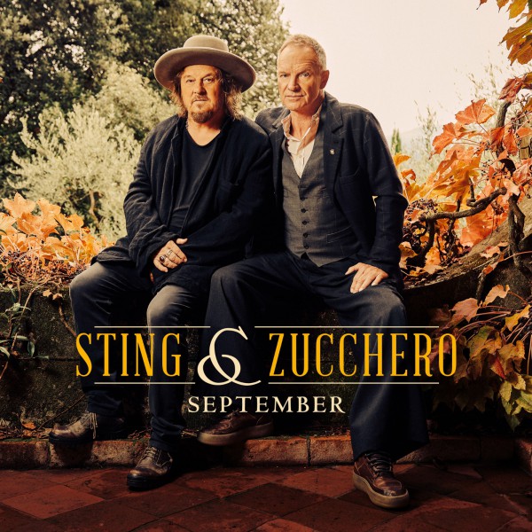 sting zucchero