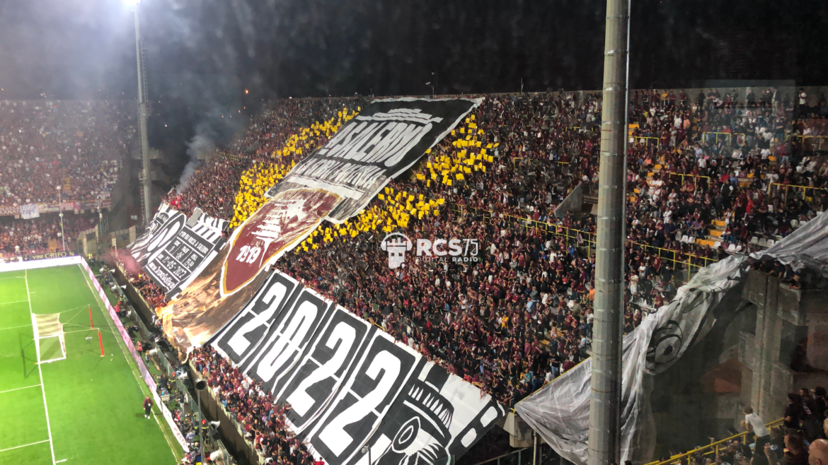 salernitana-udinese